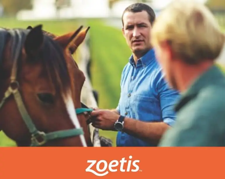 Interactive ePub design for Zoetis products - Screen 2